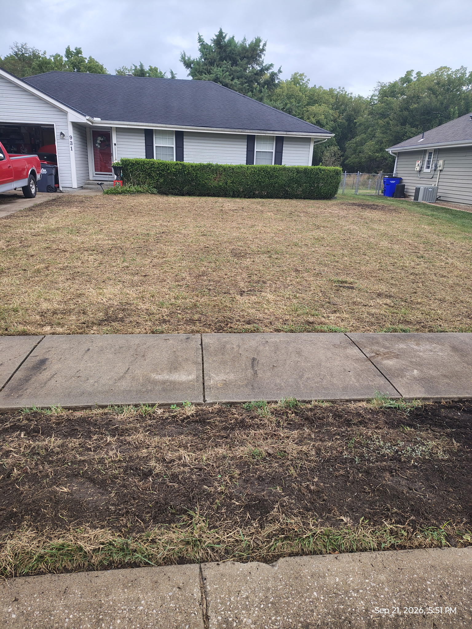 Before — Lawn Restoration