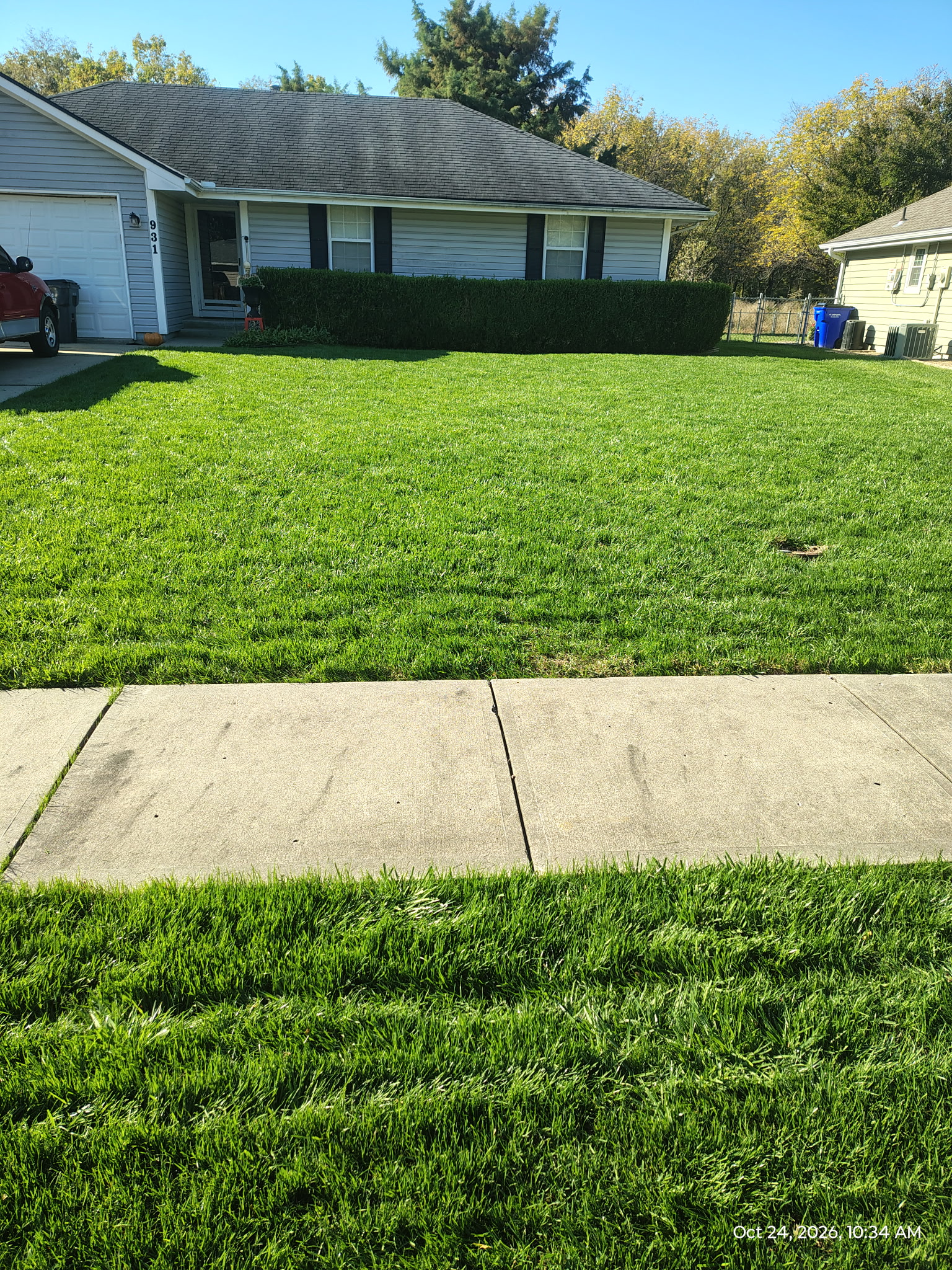 After — Lawn Restoration